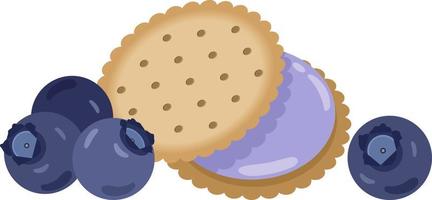 Sandwich biscuit with blueberry cream vector