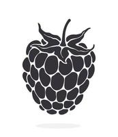 Silhouette icon of blackberry or raspberry fruit with stem. Healthy diet and vegetarian food. Decoration for packaging, menus, showcases. Isolated  pattern on white background vector