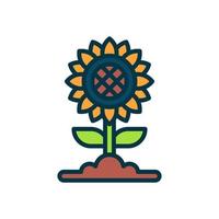 sunflower icon for your website, mobile, presentation, and logo design. vector