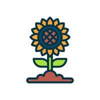 icono de girasol para su sitio web, móvil, presentación y diseño de logotipo. vector