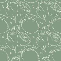 Lemon seamless pattern with freehand drawn light outline fruits and slices on pale green background. Vector graphic illustration.