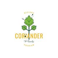 coriander spice cooking food kitchen green vegetable hipster logo design vector icon illustration template