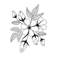 Wild rose flowers drawing and sketch with line-art. Wild rose vector Illustration