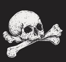 Skull and Crossbones Realistic Drawing Illustration vector