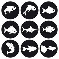 Fish icons set. White on a black background vector