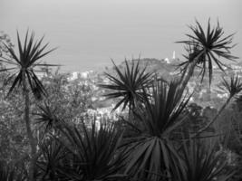 la isla de madeira foto