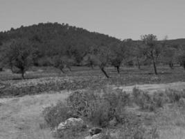 isla de ibiza en españa foto