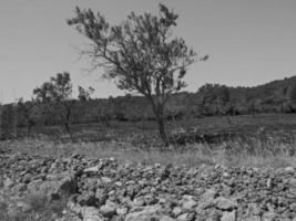 isla de ibiza en españa foto