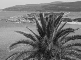 isla de córcega en francia foto