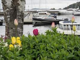 kristiansand in norway photo