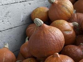 calabazas en alemania foto