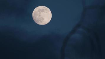Full moon with clouds video
