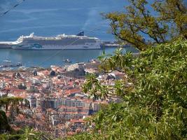 madeiira island in portugal photo