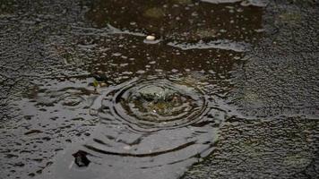 klein druppels van regen langzaam valt Aan de grond in langzaam beweging video