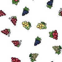 grape wine bunch fruit green vector seamless pattern