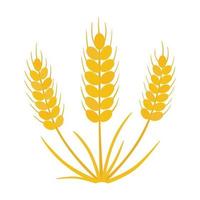 Grain, wheat icon. vector