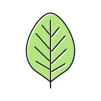 teak leaf color icon vector illustration