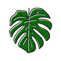 Ilustración de vector de icono de color de hoja de planta monstera