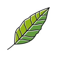 stelizia tropical leaf color icon vector illustration