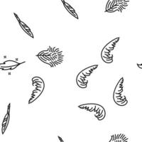 feather bird soft quil fluffy vector seamless pattern