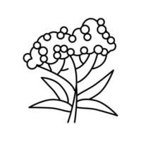 elderberry tree branch line icon vector illustration