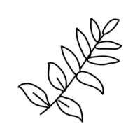 zamioculcas tropical leaf line icon vector illustration