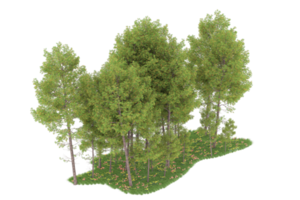 Realistic forest isolated on transparent background. 3d rendering - illustration png