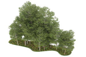 realistico foresta isolato su trasparente sfondo. 3d interpretazione - illustrazione png