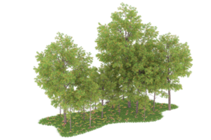 Realistic forest isolated on transparent background. 3d rendering - illustration png