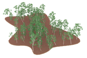 floresta realista isolada em fundo transparente. renderização 3D - ilustração png