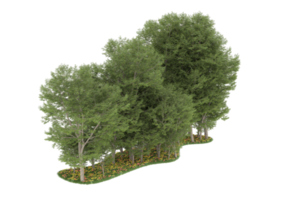 floresta realista isolada em fundo transparente. renderização 3D - ilustração png