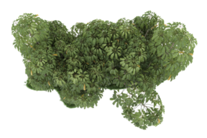 realistico foresta isolato su trasparente sfondo. 3d interpretazione - illustrazione png