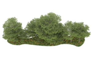 floresta realista isolada em fundo transparente. renderização 3D - ilustração png