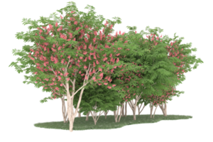 Realistic forest isolated on transparent background. 3d rendering - illustration png