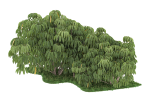 Realistic forest isolated on transparent background. 3d rendering - illustration png