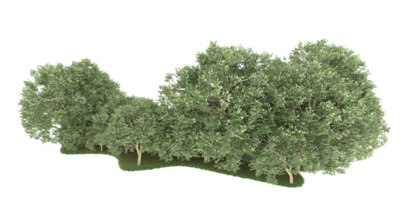 forêt réaliste isolée sur fond transparent. rendu 3d - illustration png