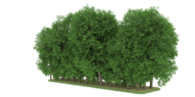 Realistic forest isolated on transparent background. 3d rendering - illustration png