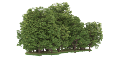 realistico foresta isolato su trasparente sfondo. 3d interpretazione - illustrazione png