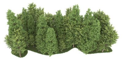 floresta realista isolada em fundo transparente. renderização 3D - ilustração png