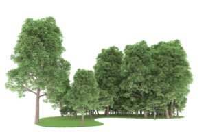 Realistic forest isolated on transparent background. 3d rendering - illustration png