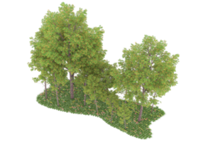 forêt réaliste isolée sur fond transparent. rendu 3d - illustration png