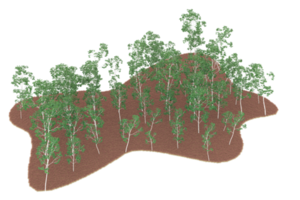 forêt réaliste isolée sur fond transparent. rendu 3d - illustration png