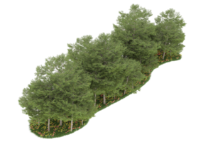 floresta realista isolada em fundo transparente. renderização 3D - ilustração png