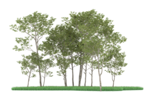 Realistic forest isolated on transparent background. 3d rendering - illustration png