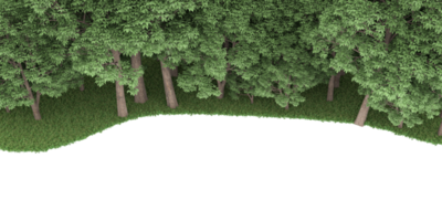 floresta realista isolada em fundo transparente. renderização 3D - ilustração png