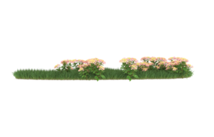 Realistic foliage isolated on transparent background. 3d rendering - illustration png