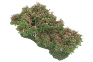 Realistic forest isolated on transparent background. 3d rendering - illustration png