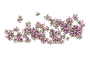 realistico fogliame isolato su trasparente sfondo. 3d interpretazione - illustrazione png