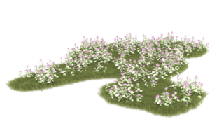 Realistic foliage isolated on transparent background. 3d rendering - illustration png