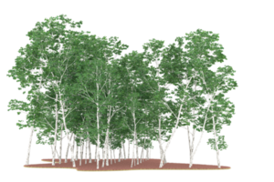 forêt réaliste isolée sur fond transparent. rendu 3d - illustration png